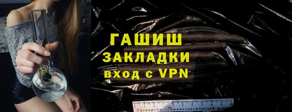 индика Бородино