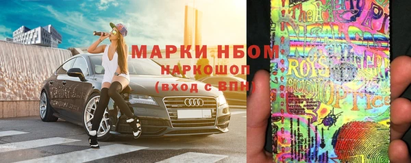 спайс Нея