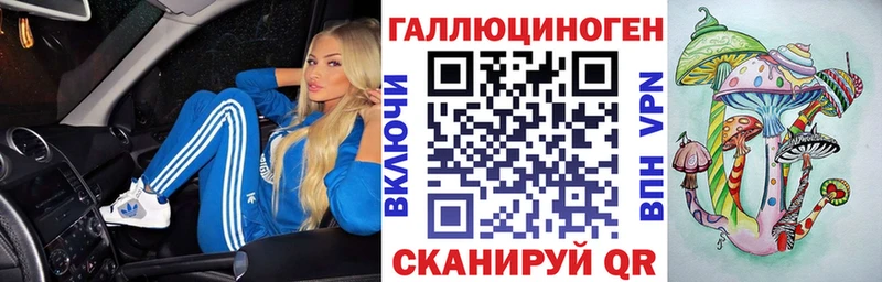 где можно купить наркотик  Нерехта  Галлюциногенные грибы Psilocybe 
